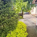 Dom Na Wynajem Lägenhet *